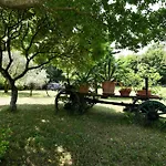 Lucija Žminj