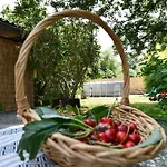 Lucija *